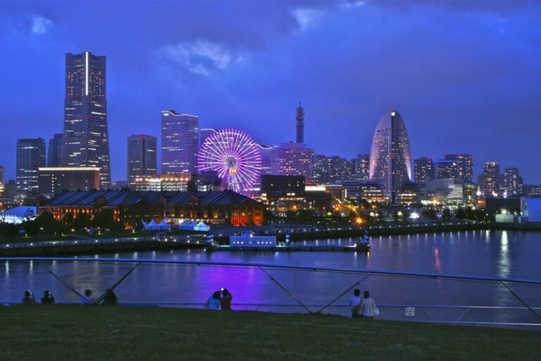 dog-park-yokohama