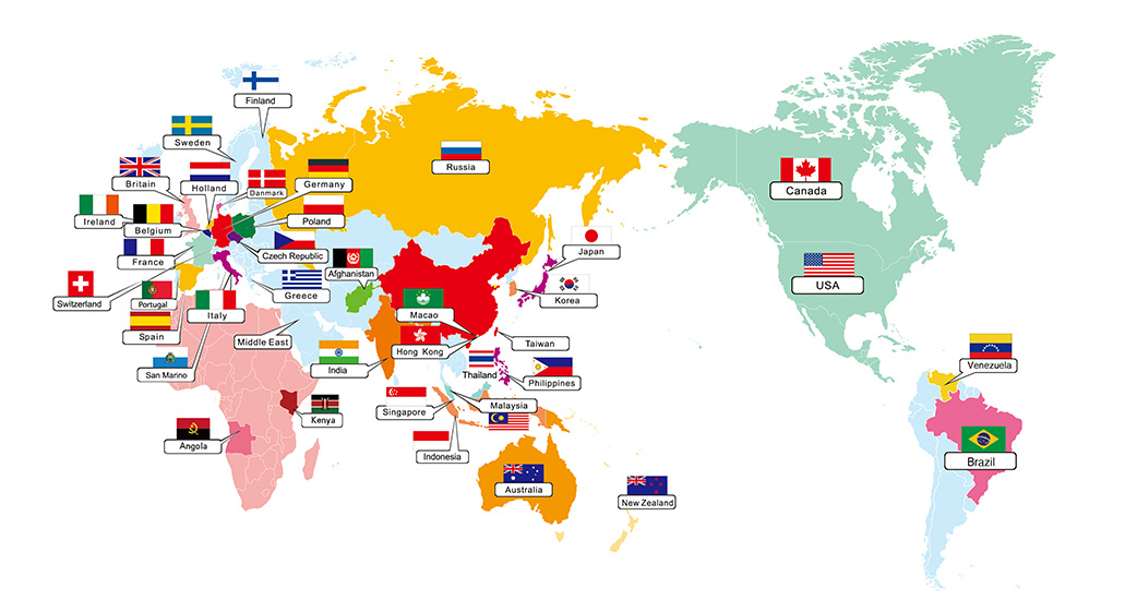 China’s leading pet food maker net profit up nearly 40 pct in 2019