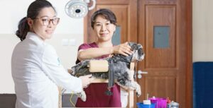 New Ruipeng Pet Group Begins U.S. IPO Rollout