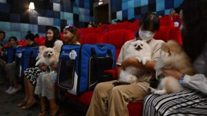 Thailand Pet Cinema